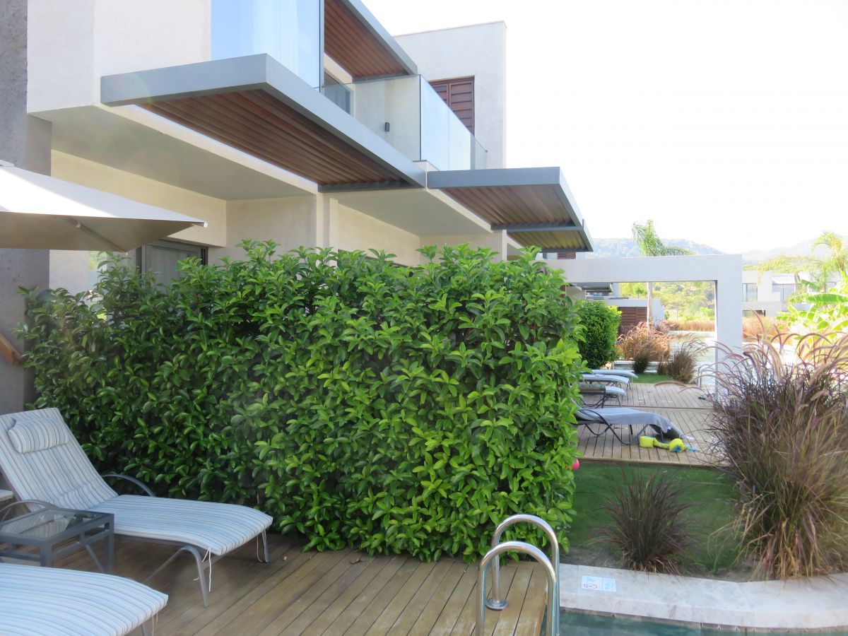 imagini hotel Hilton Sarigerme